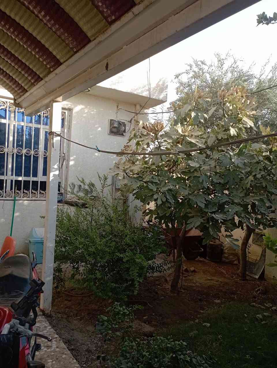 للبيع المستعجل بيت حديث مساحه 250 متر بناء طابوك طابقين 5 غرف 3 فوك و2 جوه الفوك بس غرفه كامله أما ثنين بعدهن غوزهن لبخ وكاعيه طابو زراعي سند 25 حله سيف سعد ورديه خلف معمل بلوك ابو كيره يبعد عن الشارع العام 70 متر مع حديقه جميله السعر 138 من الاخير اتصال ***********
