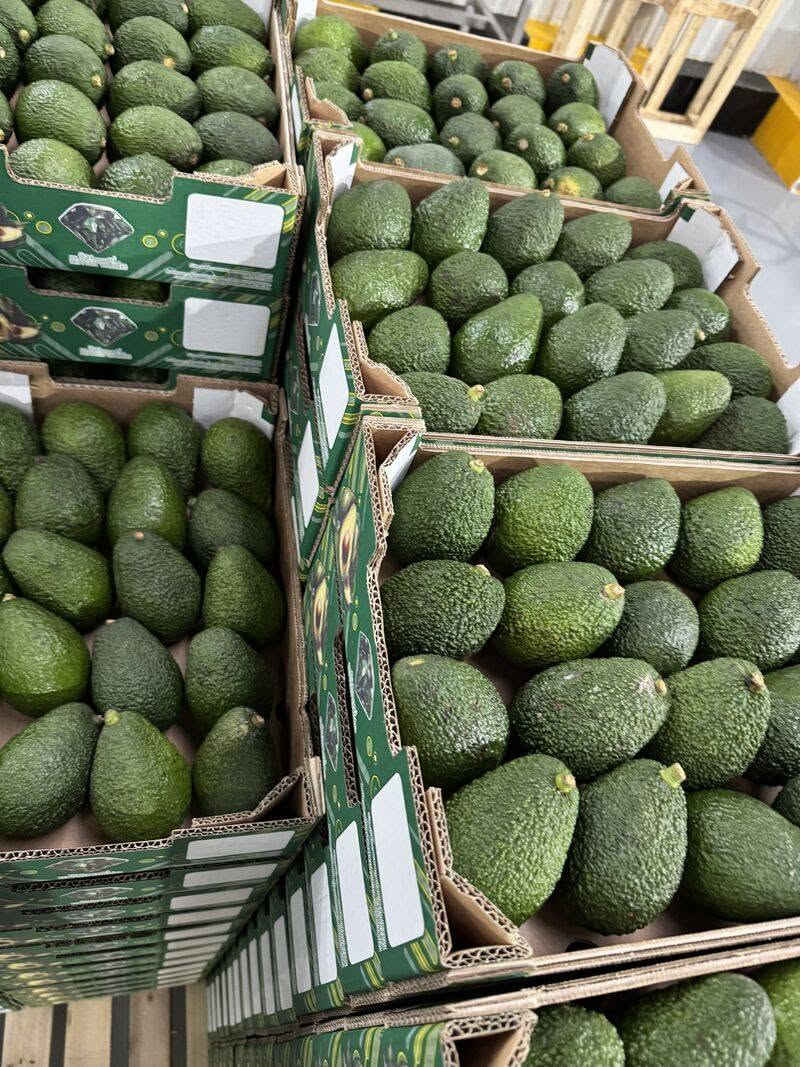 أفوكادو 🥑 هاس عالية الجودة جاهزة للتصدير من المغرب 🇲🇦
الاعلان موجه للمستوردين تجار الجملة المهتم يتواصل معنا خاص شكرا


**إذا كنت صاحب هذا الإعلان وتريد حذفه لأي سبب، رجاءا أرسل رسالة إلى الدعم الفني**