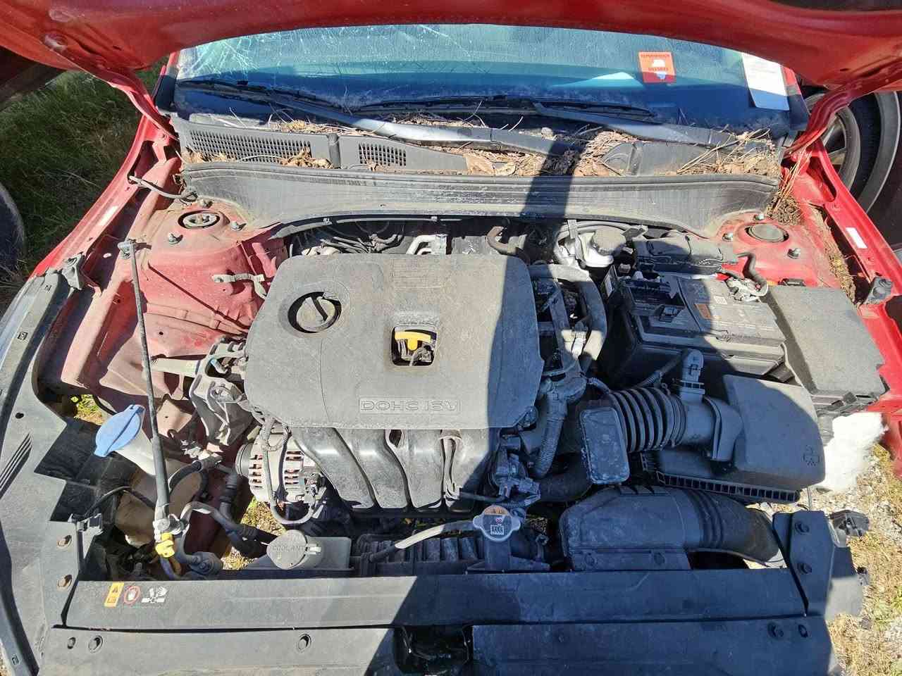 فورتي 23 امريكي رقم بغداد رقم وسنوية جدد 

لون ليموني حادث موضح بل صور بدون تبديل ليبل واحد 

ماشيه 23 ميل منضومة غاز 

السعر 150$ قابل للتفاوض ... 

المواصفات 

فول تحكم ستيرن

شاشه 

رادار 

كامره 
مود درايف 

مانع انزلاق

نقطه عمياء

توقف ذاتي 

مكاني  بغداد الجديده 

الرقم ***********

متوفر خاص
