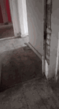 شقق للاجار شبابيه السعدون شارع سميرة ميس اجار 350//////تواصل 077281396...