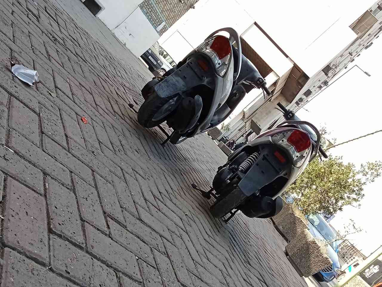 السلام عليكم شباب دراجات ماكسات منغوليات مال رمبة كلشي بيهن ابلادي وكلشي بيهن شغال شلعة ومعدل ونعومة متنسمع برغي واحد ما مفتوح بيهن العنوان بغداد باب المعضم ولا ستفسار ***********
