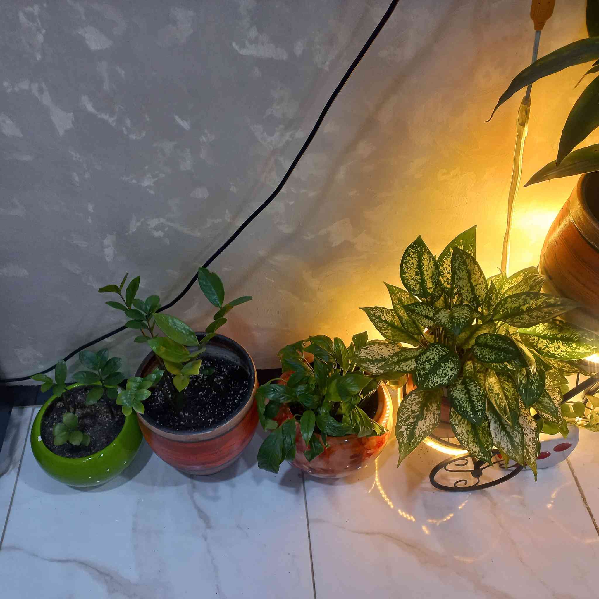 سلام عليكم زرع للبيع


**إذا كنت صاحب هذا الإعلان وتريد حذفه لأي سبب، رجاءا أرسل رسالة إلى الدعم الفني**