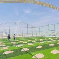 🔹 التارتان والثيل العشبي باستخدام الثيل الهولندي والتركي بألوان فسفوري...