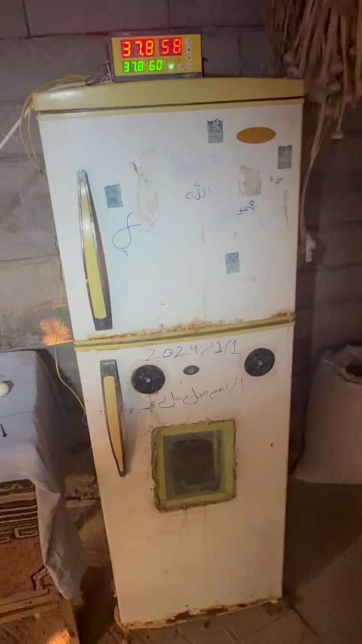 البصرة القرنة


**إذا كنت صاحب هذا الإعلان وتريد حذفه لأي سبب، رجاءا أرسل رسالة إلى الدعم الفني**