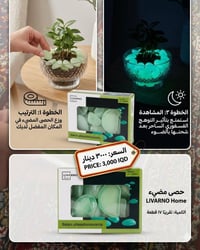 حصى يضوي • حديقة • ٦٠ قطعة