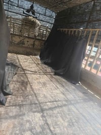 بدي كنتر للبيع هو المحجر بسعر مناسب 07702700412