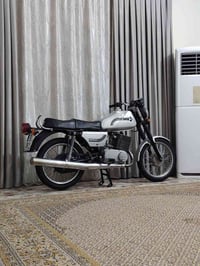 نجف • بلا صبغ • ما ماشية بالعراق