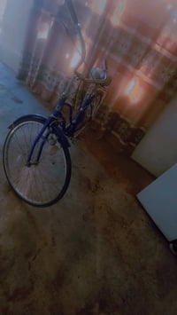 بايزكل • عبدالحليم • نضيف