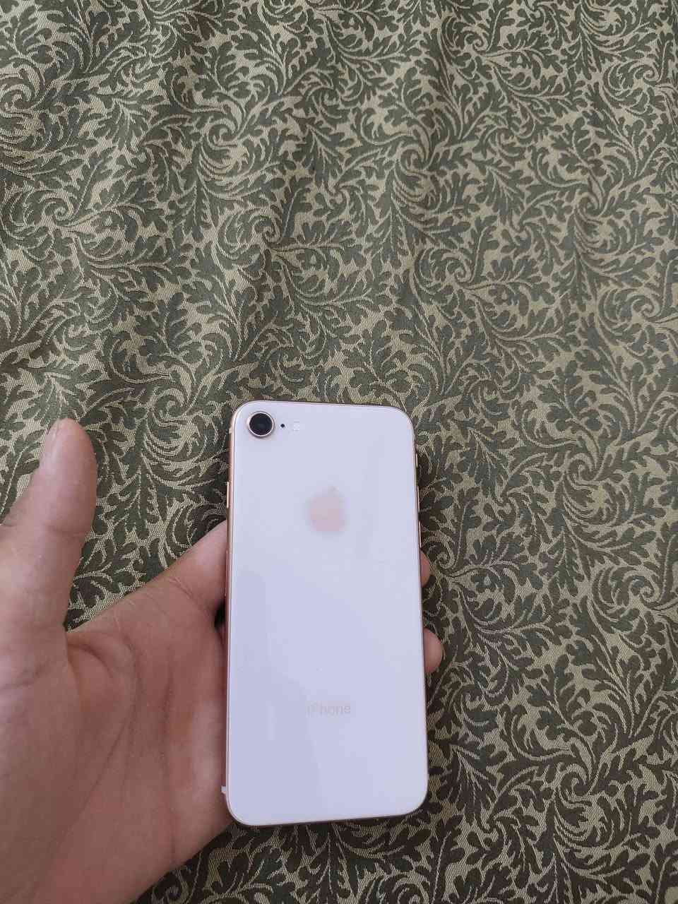 سلام عليكم
ايفون8فقط ذاكره 64🔋100 انسه شحن ولله فول شحن ما يصرف
بوبجي 60فريم سلاسه كلش حلوه
جهاز مبدل فقط بطاريه وكاله+ كامره
الخلفيه بيه رجه يرادله مقلاطيس ما يكلف 5الف ولله + شاشه بيه رطوبه خفيف ما ماثره نضافه خارجيه100/
شحن تكنيك تصال حدث فرمت فول
سعر85عنوان بغداد بلدبات
للاستفسار***********
