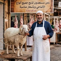 استقبال الضحايا • عمارة ميسان • ٢٤ساعة