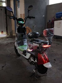 دراجة شحن • حجم 14 • بغداد الشعب