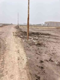 الصخيين • قطعة أرض • واجهة 11 نزال 23