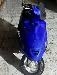 فراشة فورتي • فحل • نص هندر