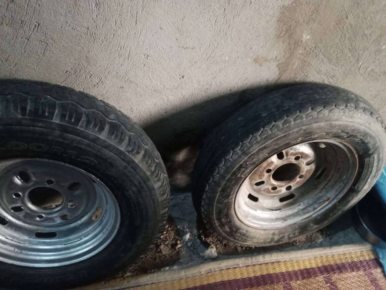 السلام عليكم سبير البيع السعر 40 ثنينهن


**إذا كنت صاحب هذا الإعلان وتريد حذفه لأي سبب، رجاءا أرسل رسالة إلى الدعم الفني**