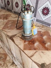 غراض محل • دجاج • للبيع