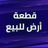 حي الدندان • ٢٠٧م • سند طابو