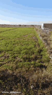 أرض زراعيه للبيع 
عقد. زراعي ٣٥ 
مساحه ٤دونم الموقع كوت طريق بغداد قرب مجمع البرهان السكني الارض صالحه لزراعه والسكن ويتوفر ماء +كهرباء 
للأستفسار اكثر الإتصال على الرقم  ***********
