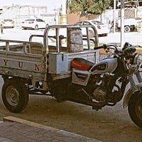 ستوته • ٢٠١٥ • شاصي مكفول