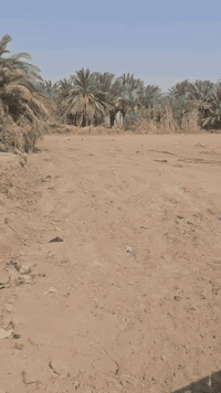 قطعه زراعي  المساحه 1800
المكان حي الزهراء نهاية شارع السياسين 
مقسمه قطع شكد تريد موجود
 سعر ال 200 ب 10ملاين 
ماي كهرباء مدارس، منطقه سكنيه 
***********
***********
