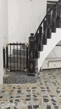 ***********
محجر العرانيص سعر لبايه لوحده20 الف احدث تصاميم
