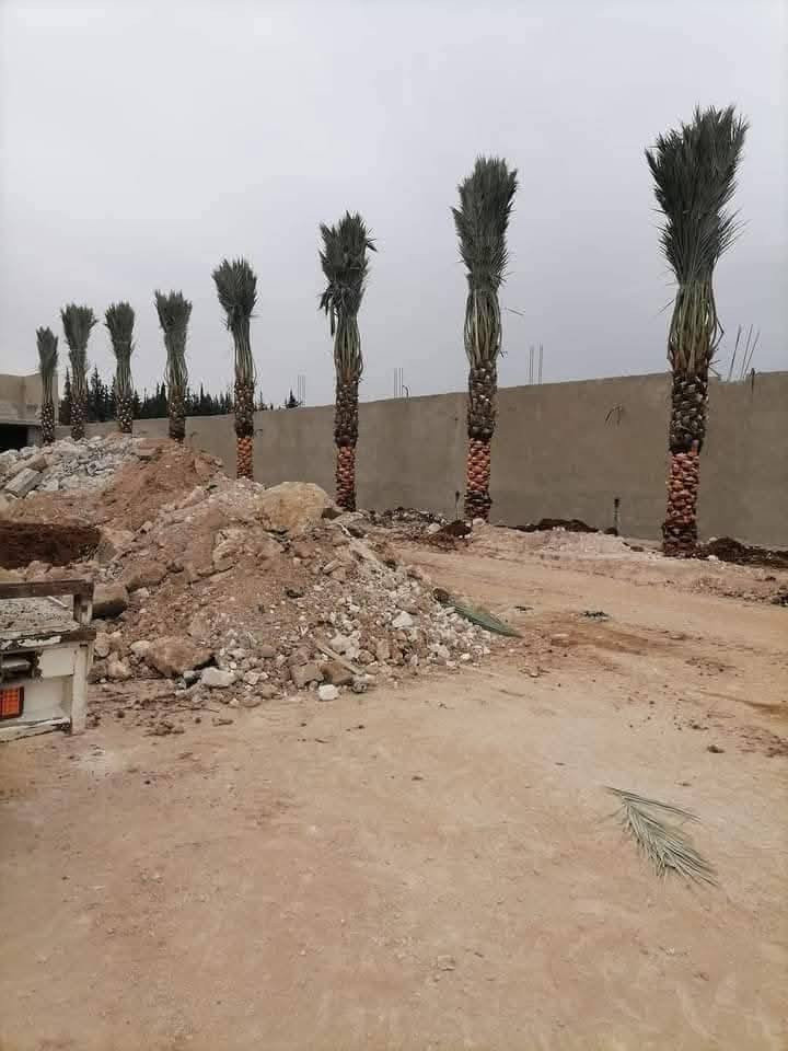 📞***********📞
📞***********📞
أن شاء الله موسم خير وبركه على الجميع
       مستعدون لتجهيز دوائر الدوله كافه 
    وكافه المزارع الخاصه والعامه 
                                    يتوفر لدينا جميع احجام النخيل 🌴واصنافها     عمراني.    التبرزل.   مكتوم.  خستاوي.  قيطاس 

جمالي.   اشرصي.   ابرين.   حمراوي.  شكر.  اشويثي اصفر.   

متوفر خدمه توصيل لجميع محافظات العراق 🚚.

  للحجز وطلب الاستفسار مراسله الصفحه او الاتصال على الارقام الهاتف

📞***********📞 ،،
