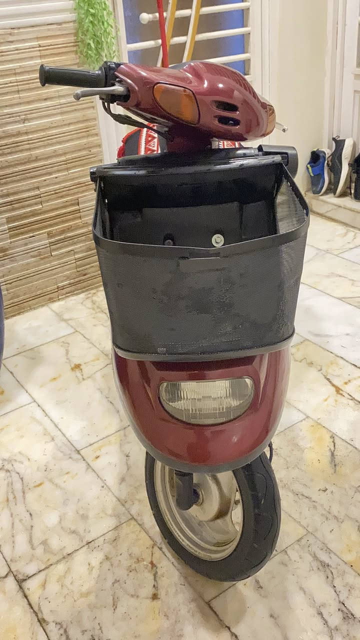 سلام عليكم. منغولي ابو السله للبيع الدراجه نضيفه +مكينه ناعمه مكاني كربلاء الروضتين رقمي للتواصل ***********السعر 900وبيهه مجال
