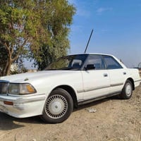 هارتوب • بدون خياس • بدون صبغ