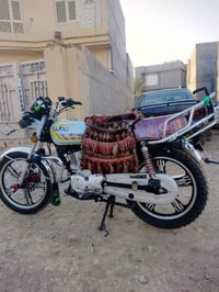 بلدروز • موديل ٢٤ • ديالى
