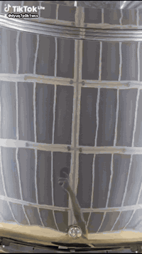 اي شخص يحتاج سمكرة صبغ يدلل شرط يكون الشغل شركة العنوان بغداد الدورة مدخل البعيثة ورة سيطرة الهواشة ٤٠٠ متر على اليسرة اول فرع بالبداية محل البراق سمكرة وصبغ السيارات الحديثة علاء أبو أوس ***********
