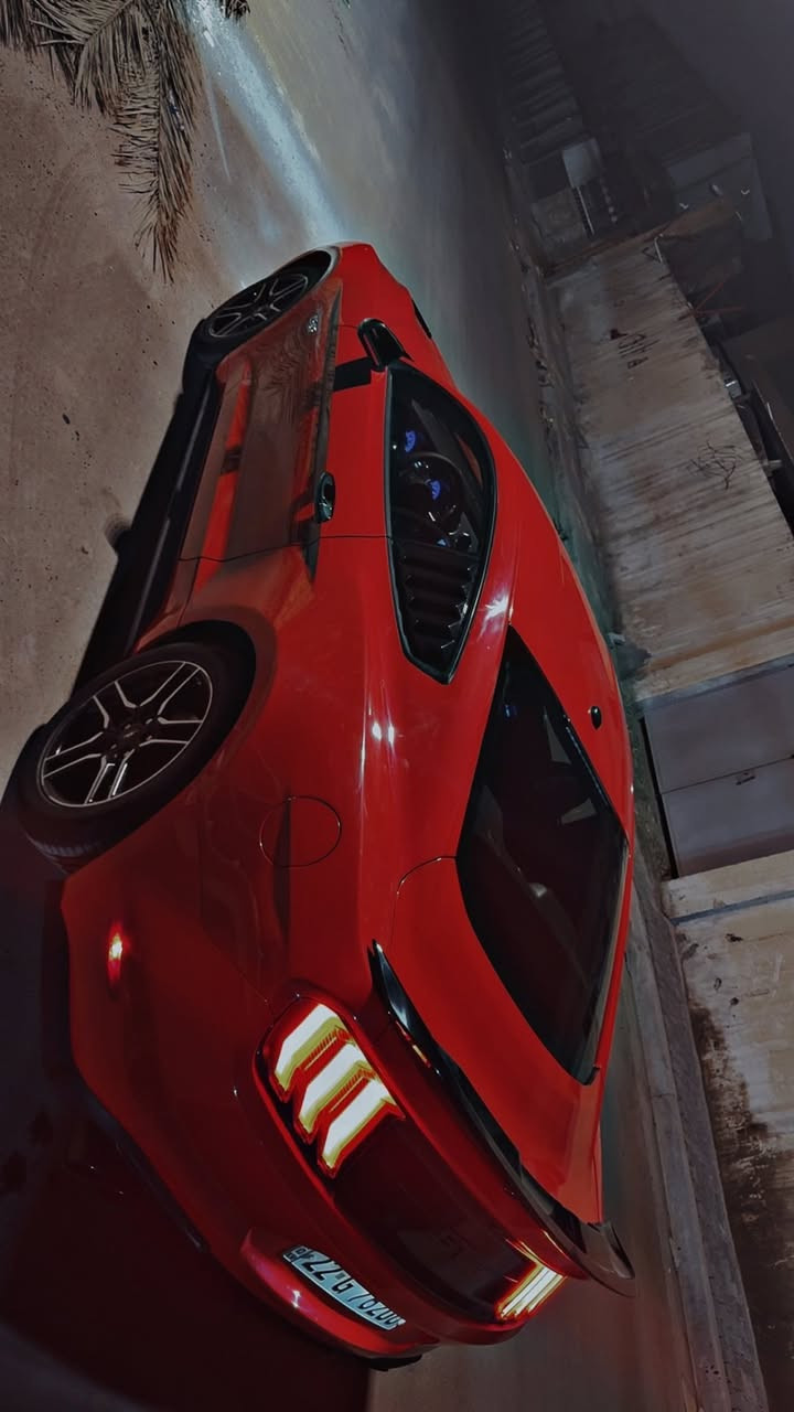 153 وبيها مجال
(موستنك خمسة وخمسينية ٢٠٢٠)
فول مواصفاااات
🚀كير ومحرك كفالة+ تبريد ثلج
🚦   ولا ضوة بالدشبووول 
⭕️تشغيل عن بعد
⭕️كامرة +شاشة+سستم صوت+رادار
⭕️اضاءة سبع الواااان+ترحيب ارضي عند الاقتراااب
⭕️تخم تاير جديد 
⭕️كاملة وجاهزة من دعامية 
⭕️لدعامية عداد 74,000mi
⭕️عطاس تيربو صوت خراااافي
مكاني شارع المغرب حادث سخيف صبغ ٣ قطع ايرباك ستيرن
للاتصال 🇺🇸👇🏻
(***********
