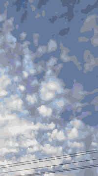 تايكر 2026 • مكفولة • الخالص هبهب