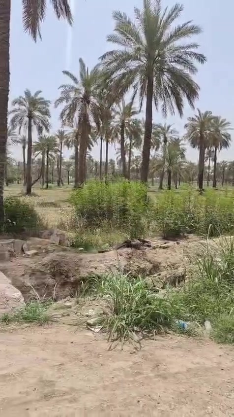 السلام عليكم
يوجد مزرعه مساحه/1700م
الواجهيه/20م
مزرعه كامله متكامله  ماء اساله جاهزه من كلشي مثل ماموضح بالفيديو 
العنوان/ بغداد المدائن شارع سيد علي 
 0774 293 4494
