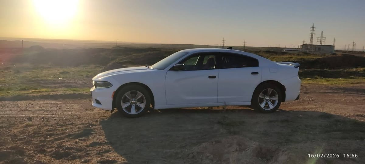 سلام عليكم جانجر موديل ٢٠١٧ كنديه بسمي رقم بغداد متاح للبيع مفحوصه وسونار منشور
***********
هذا رقمي
السعر 225 بيها مجال
