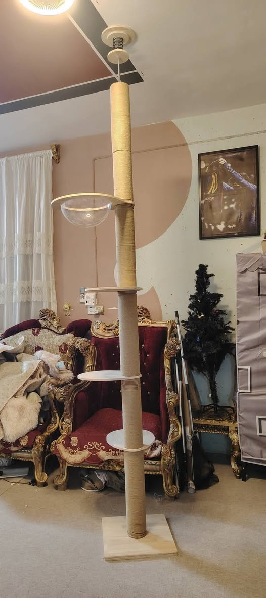 مستلزمات قطط بعد اكو ٣ قطع ماصورتهن كلهن ب٧٥ الف مع التوصيل


**إذا كنت صاحب هذا الإعلان وتريد حذفه لأي سبب، رجاءا أرسل رسالة إلى الدعم الفني**