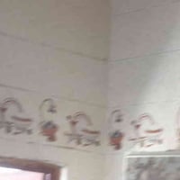 بيت اابيع خلف شياع زراعي وجه علا شارع ٣٠مباشر مساحه ٥٥٠ ثلاث غرف وساله...