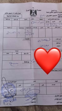 شارع ٦٠ تجاري • ٢٠٠م • ملك صرف