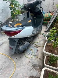 بريز • شغاله • سلف وهندر