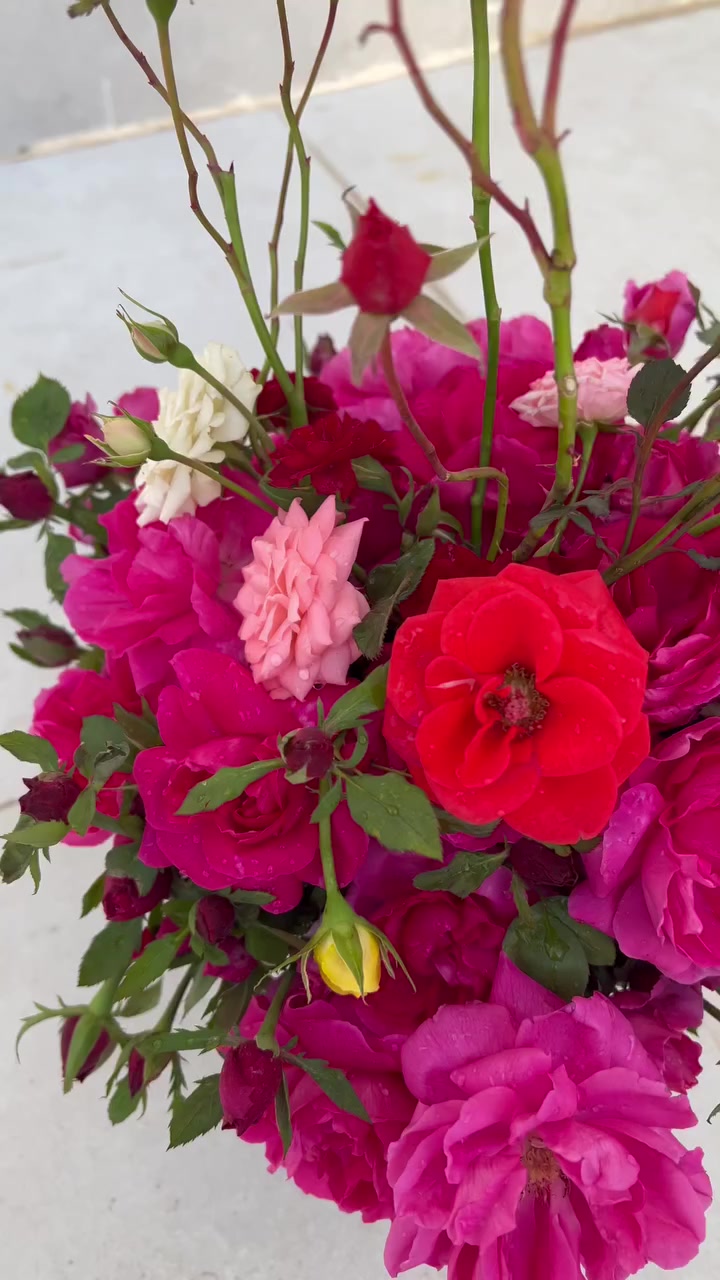 السلام عليكم شباب هذا الورد هستوني قطفتة بعدة فرش وبيهم عطر هاي المزهرية ابيعة وسعرة 10 مكاني النجف حي العسكري


**إذا كنت صاحب هذا الإعلان وتريد حذفه لأي سبب، رجاءا أرسل رسالة إلى الدعم الفني**