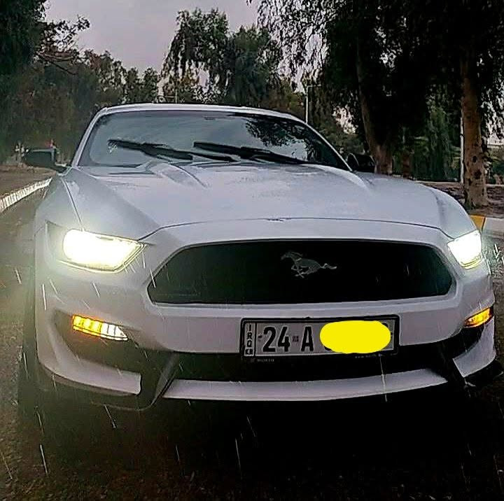 السعر كلش مناسب واخو البلاش موستنك موديل 2015 محرك ٤ سلندر حادثها مرفق بالصور تخم تاير صدر حدادية كله جديد سيارة مال بيت وجناي سعرها مناسب مكاني كركوك ***********
