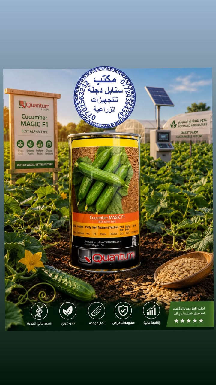 متوفر الان اصناف من البذور (الخيار) F1

1: الصنف الاول👇

بذور خيار من نوع "ماجيلان F1" (Majellan 
يحتوي المغلف على 1000 بذرة 
معالج بمبيد فطري (Fludioxonil) ومخصصة للزراعة فقط..

2: والصنف الثاني 👇

    بذور خيار Magic F1 
         ماجيك F 1
     المنشا امريكي 
تحتوي العلبه 2.000 بذرة 
                                                                      🆕 انتاج جديد

متوفر الان لدى مكتب سنابل دجلة الزراعي
الاستفسار 
***********   
***********
 ***********

#ديالى_جديدة_الشط_مجاور_مطعم_ضفاف_دجلة
