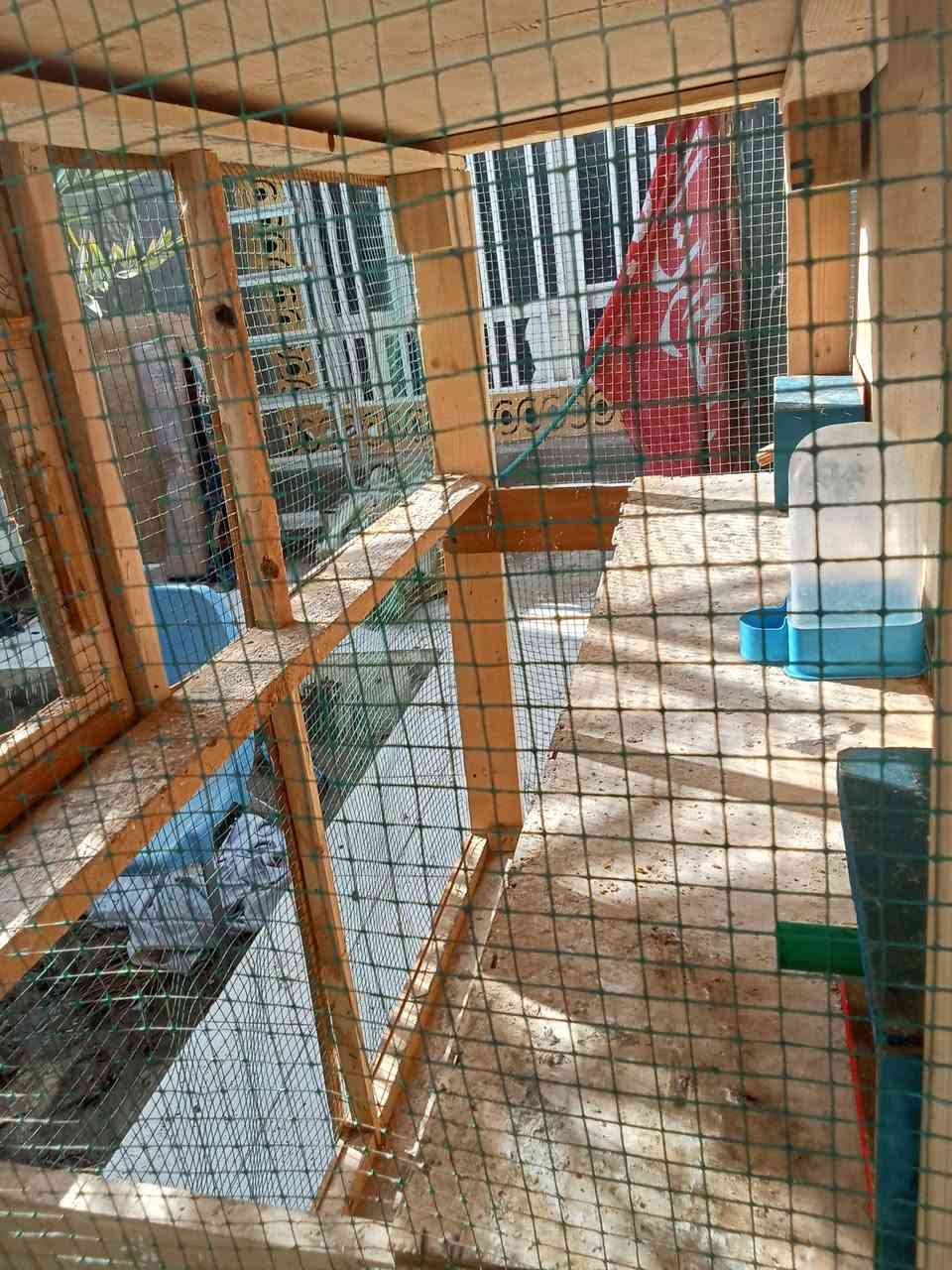 السلام عليكم قفص للبيع السعر 50الف مكاني قضاء الرفاعي


**إذا كنت صاحب هذا الإعلان وتريد حذفه لأي سبب، رجاءا أرسل رسالة إلى الدعم الفني**