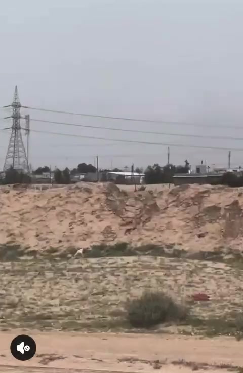 سلام عليكم اخوان دوانم للبيع مع كهرباء عقد مجدد قريبة على سيطرة النفط اللي قريبة على حسينية الزهراء الاتصال او الاستفسار على هذا الرقم ***********
