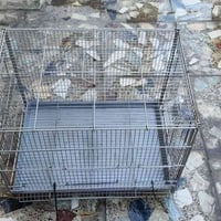 قفل ميكانيكي • عدد ٢ • بغداد الجديدة