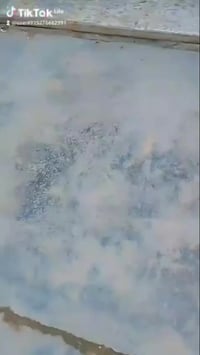 اسواق للبيع السعر 20 مع الاغراض المكان البلديات دور العمال للاستفسار  ...