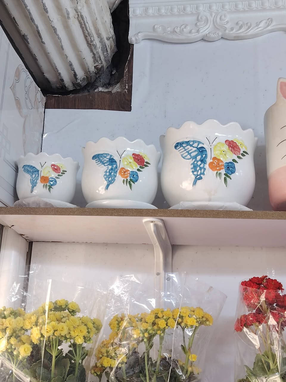 يا الله وصلت وجبه من السنادين السيراميك


**إذا كنت صاحب هذا الإعلان وتريد حذفه لأي سبب، رجاءا أرسل رسالة إلى الدعم الفني**