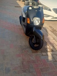 سلفندر هندر • شغال • بكربلاء