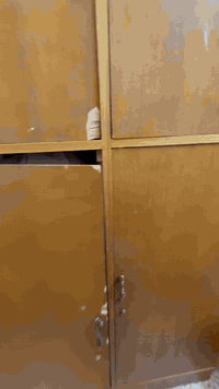 السلام عليكم… عدنا ذني الغراض للبيع .. كنتور ابو بابين وبي خانات فوك ثنين .. ومن ورا يراد نجار يدكه شي طبيعي مابي شي .. ومبردات اثنين وحده مال هاذا الموسم جديده بعدها .. وثانيه هم تشتغل .. وكراسي اثنين هم للبيع 
عنوانا بغداد البلديات المضمار شارع الحشد الشعبي 
للاستفسار ***********
