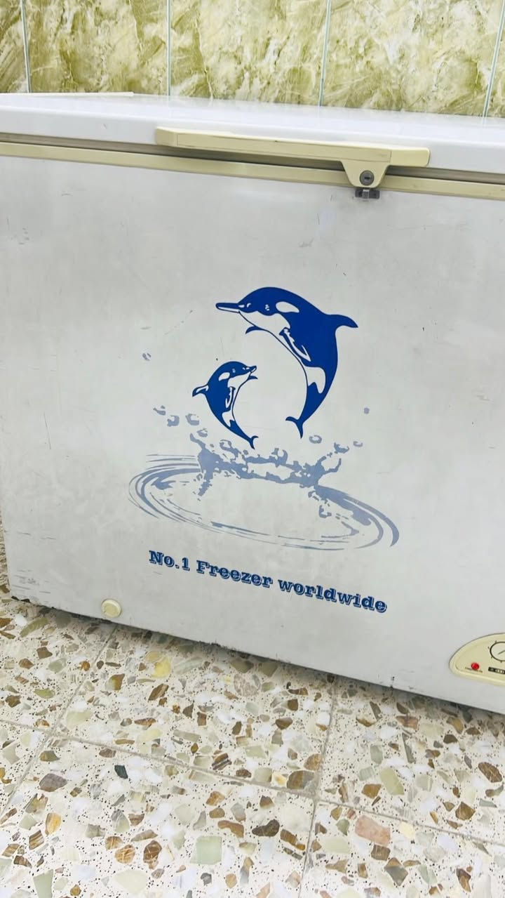 مجمدة للبيع كلها بلادي مرايحة تصليح ابد تجميدها كلشش زين كشرها نظيف مابي زنجار عنوان الشعب توصيل ماعندي


**إذا كنت صاحب هذا الإعلان وتريد حذفه لأي سبب، رجاءا أرسل رسالة إلى الدعم الفني**