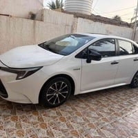 كورلا هايبرد • ٢٠٢٣ • رقم سليمانية