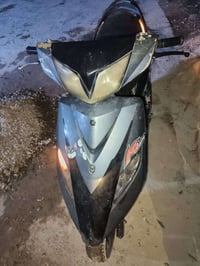 ثعلب شغالة • مكاني • بغداد